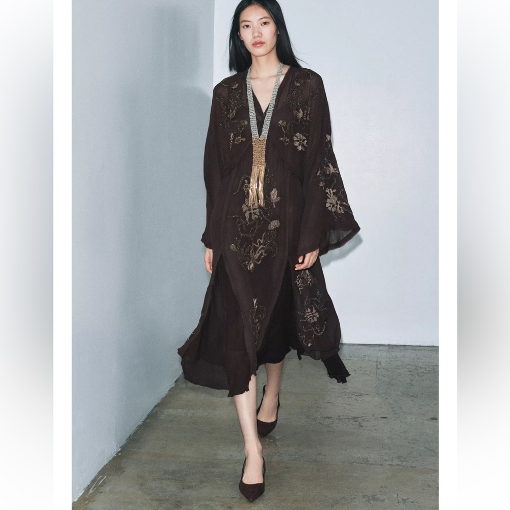 Zara ZW Collection Embroidered Beaded Brown Midi Dress